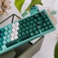 Dark Green Forest 94+114 PBT Dye-subbed PC Crystal Semitransparent Backlit Cool Keycaps Set Screen Printing for Cherry MX Keyboard